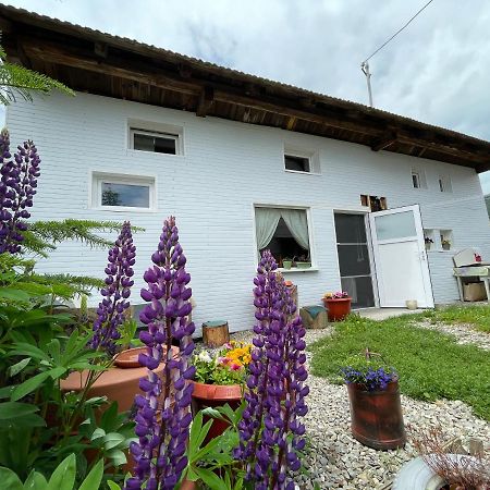 Casa De Oaspeti Cristina Fitod Екстер'єр фото