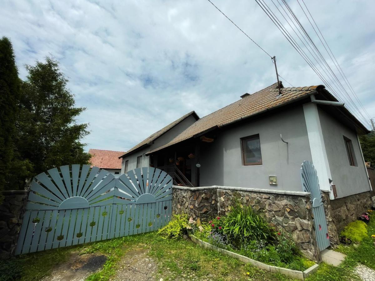 Casa De Oaspeti Cristina Fitod Екстер'єр фото