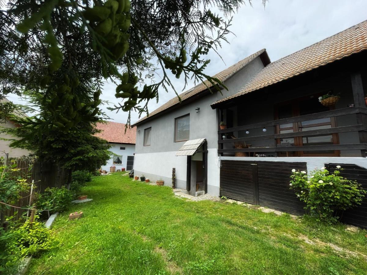 Casa De Oaspeti Cristina Fitod Екстер'єр фото