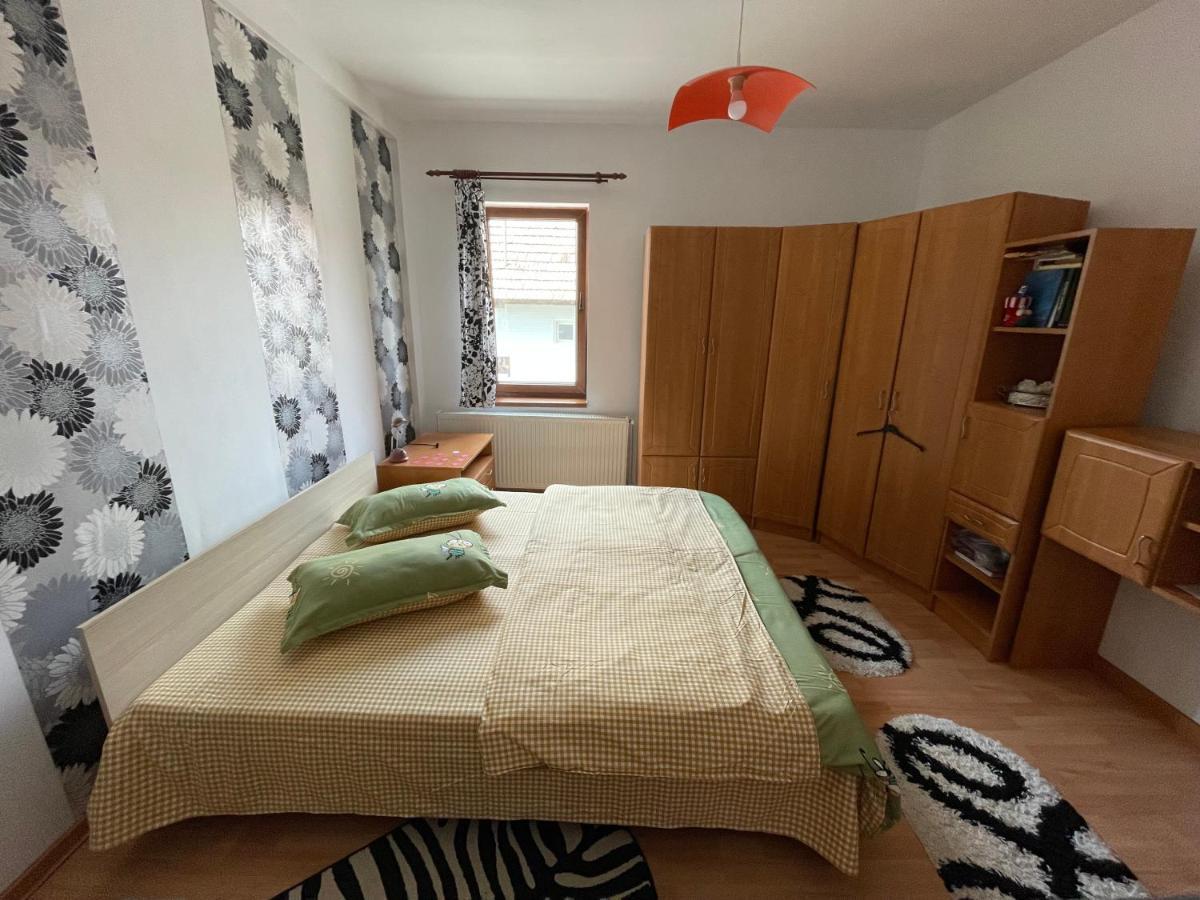 Casa De Oaspeti Cristina Fitod Екстер'єр фото