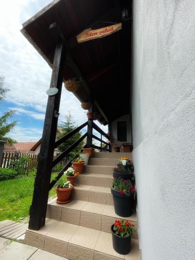 Casa De Oaspeti Cristina Fitod Екстер'єр фото