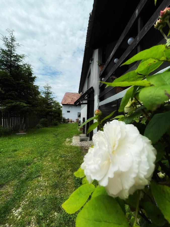 Casa De Oaspeti Cristina Fitod Екстер'єр фото