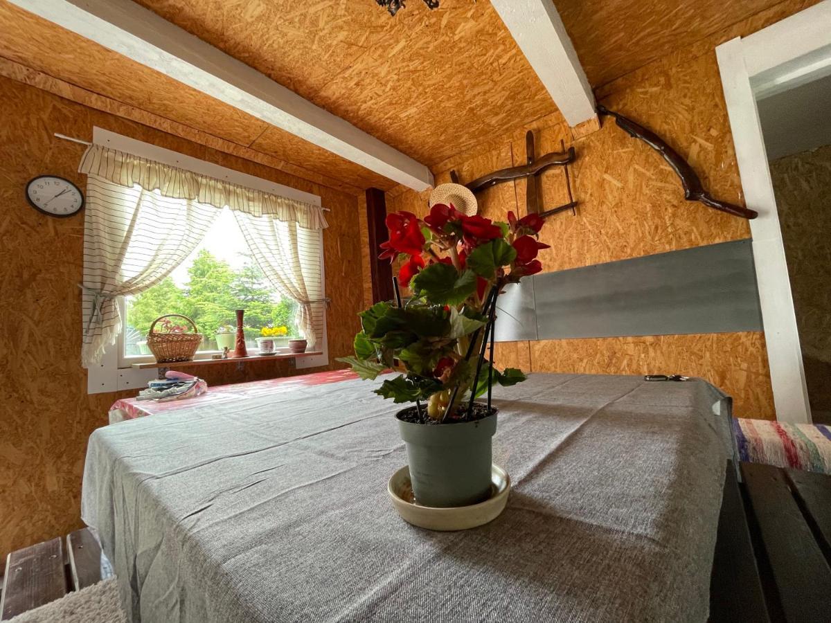 Casa De Oaspeti Cristina Fitod Екстер'єр фото